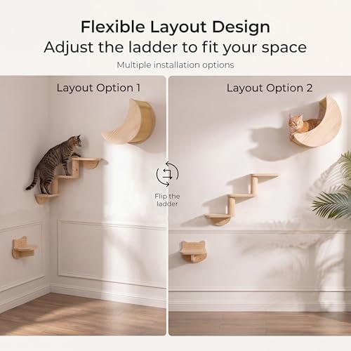 Cat Wall Shelves, Solid Wood Moon Bed, 3-Step Ladder & Perch - Image 3
