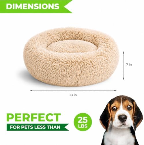 Whiskers & Friends Cat Beds for Indoor Cats & Small Dog, Fluffy Cat Bed - Image 2