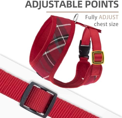 PUPTECK Small Dog Harness and Leash Set No Pull - Image 3