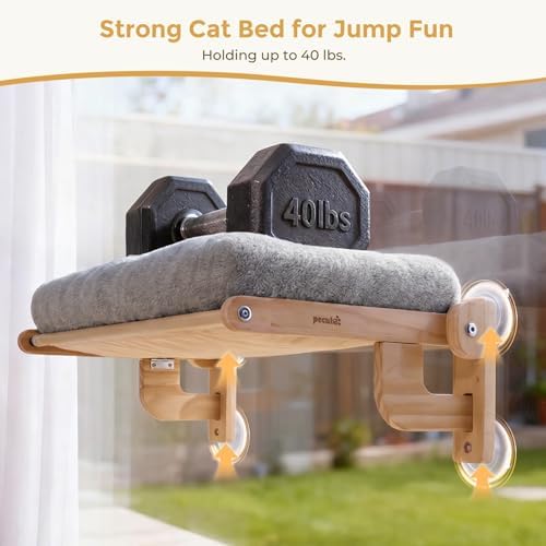 Pecute Cat Window Hammock Foldable, Cat Bed - Image 3