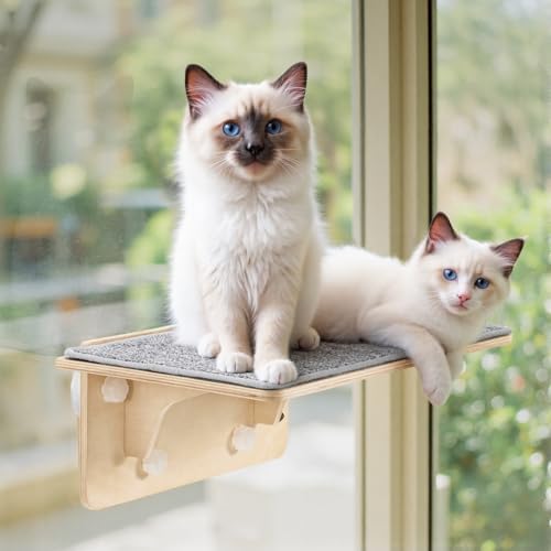 Pecute 2-in-1 Large Cat Window Perch & Wall Shelves, Solid Wood by pecute