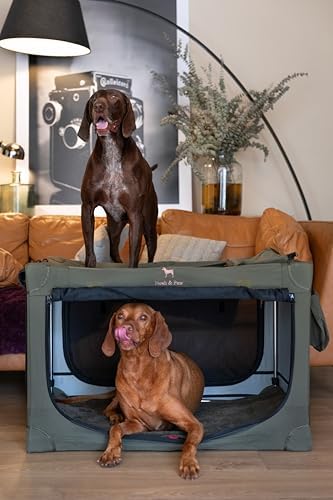 Noah & Paw XL Collapsible Dog Crate, Soft Large Dog Crate 900D Oxford - Image 2