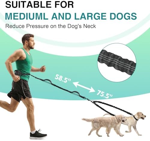 Hands Free Dog Leash 2 Dogs, Waist Leash - Image 6