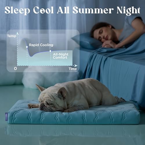 LE SURE ApexCloud™ Cooling Dog Bed - Image 4