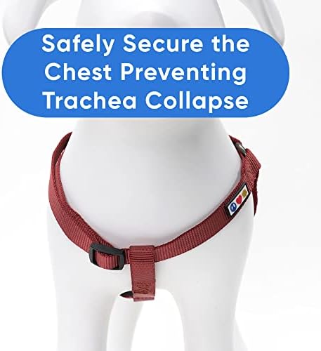 Pawtitas Solid Step-in Dog Harness – Adjustable No-Pull Vest - Image 4