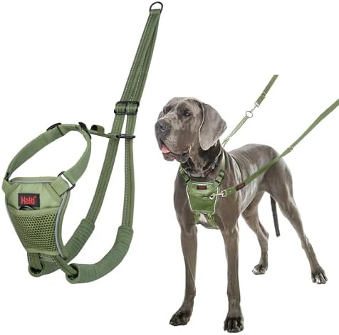 Halti No Pull Dog Harness | Size L, Forest Green by Halti