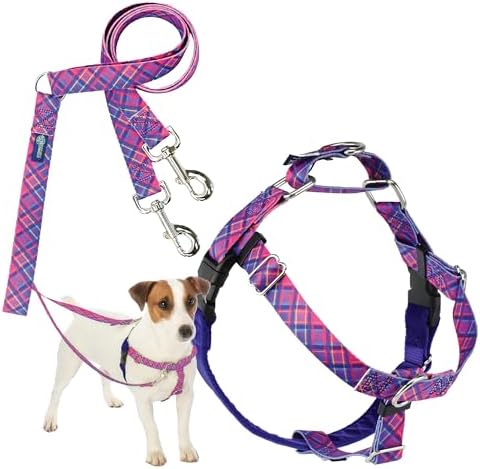 2 Hounds Design by 2HoundsDesign