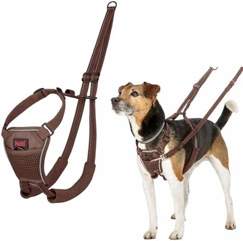 Halti No Pull Dog Harness | Size XS, Deep Walnut by Halti