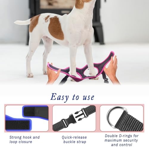 Comfort Fit No Pull Dog Harness – Adjustable Step-in Vest - Image 5