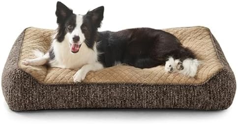 JOEJOY XL Orthopedic Dog Beds Large Sized Dog, Extra Thick Supportive Big Dogs by JOEJOY