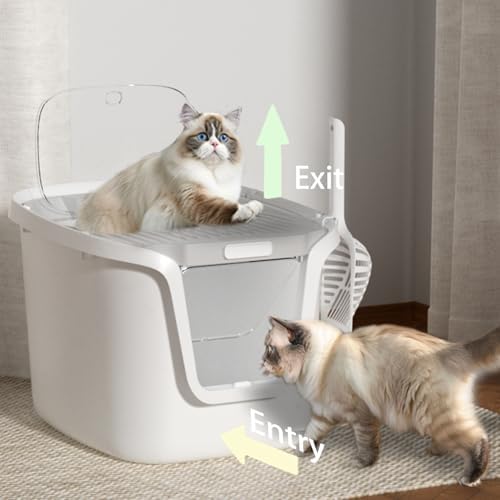 Seamless Molded Cat Litter Box - Image 2