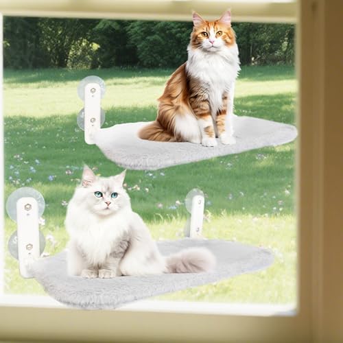 2 PCS Window Cat Bed by Unknown