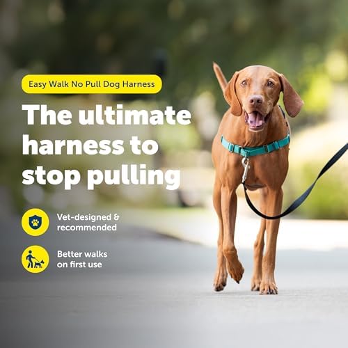 PetSafe Easy Walk Harness, No Pull Dog Harness - Image 2