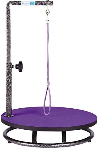 Master Equipment Pet Grooming Table by PetEdge