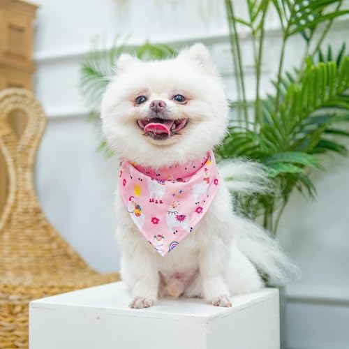 PUPTECK Dog Harness, Collar and Leash Set No Pull - Image 6