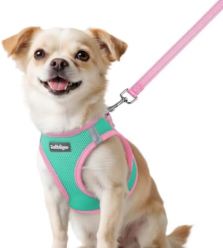 rabbitgoo Dog Harness Small Sized and Leash Set, Step in Soft Vest by rabbitgoo