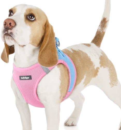rabbitgoo Step-in Small Dog Harness, Puppy Vest by rabbitgoo