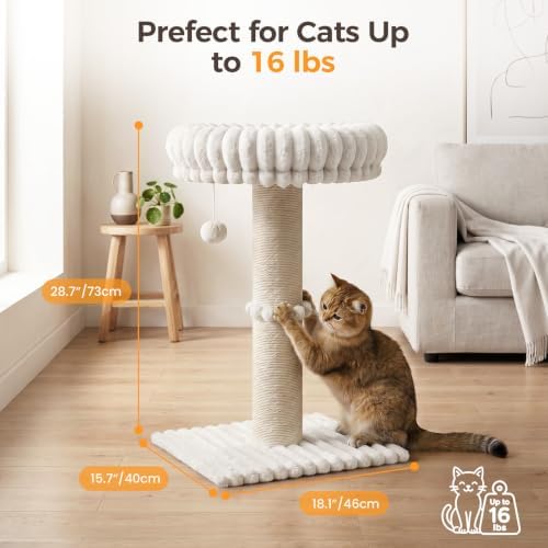Avont Modern Cloud Cat Scratching Post - Image 3