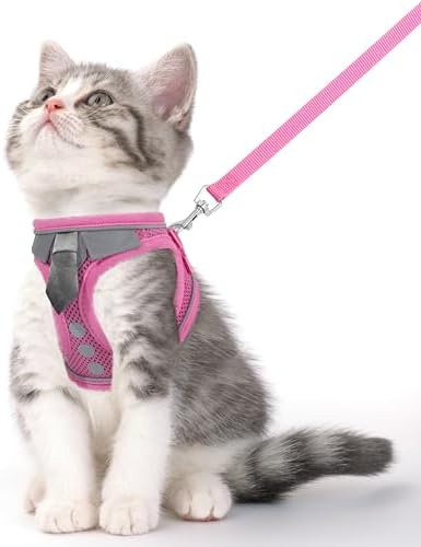 Cat Harness and Leash Set for Walking Escape Proof Vest for Kitten by NCMAMA