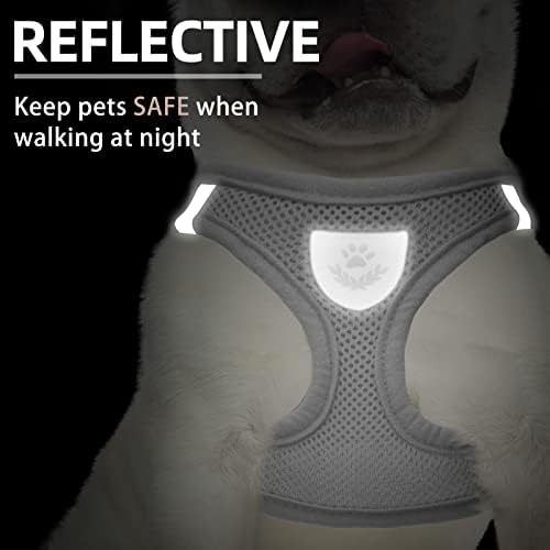PUPTECK Dog Harness, Collar and Leash Set No Pull - Image 5