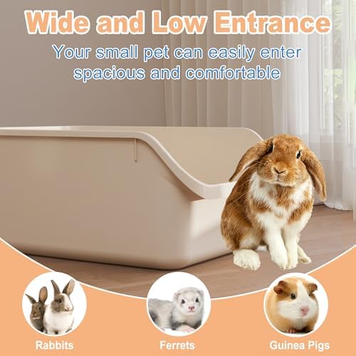 Rabbit Litter Box with Low Entry, High Back Splash Guard - Image 2