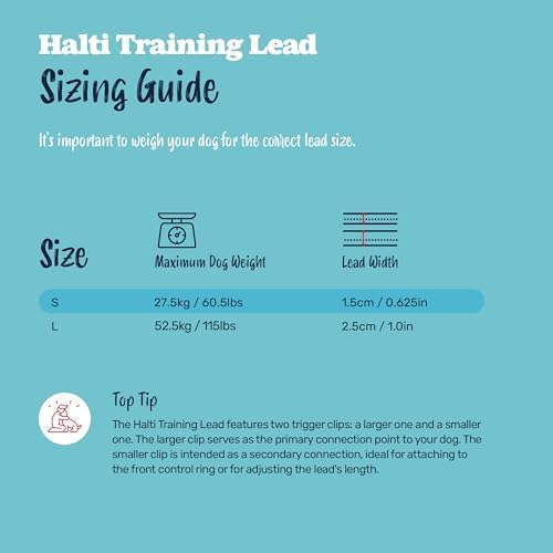 Halti Training Dog Leash | Size L - Image 5