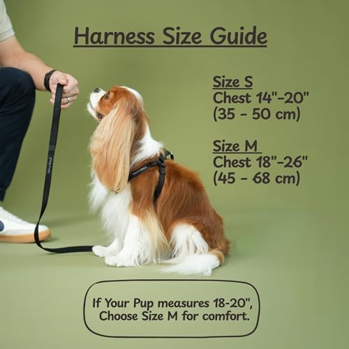 Step-in Dog Harness for Medium Sized Breeds Adjustable No-Pull Soft Vest - Image 6