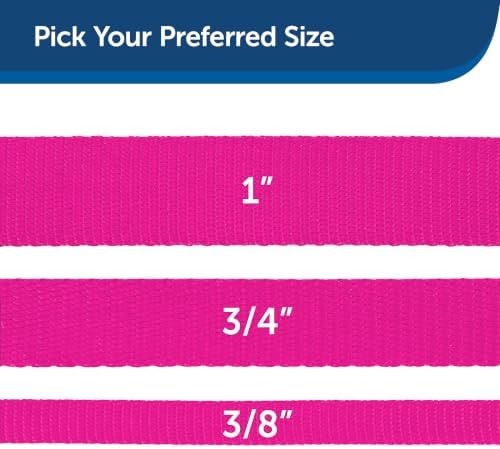 PetSafe Nylon Dog Leash - Image 5