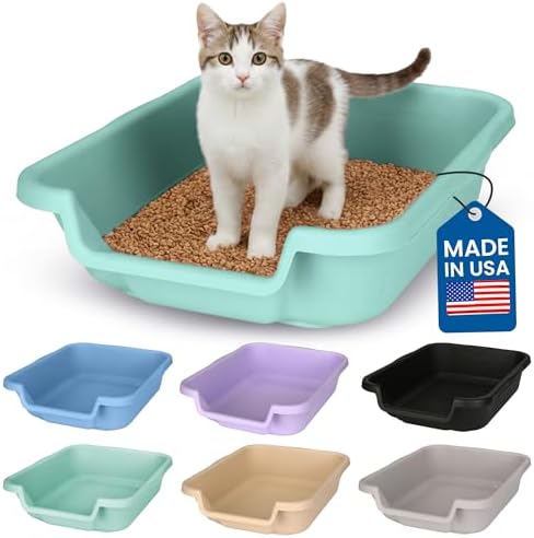 KittyGoHere Senior Cat Litter Box, Small Litter Pan, Apple Green by NE14pets