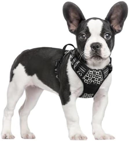 rabbitgoo Dog Harness, No Pull for Large Dogs by rabbitgoo