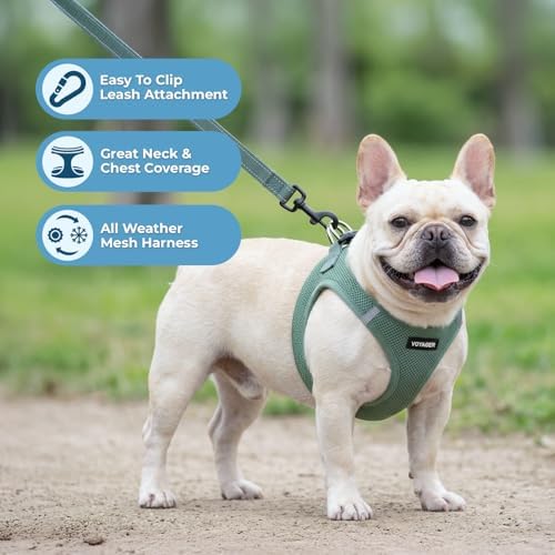 Best Pet Supplies Voyager Step-in Air All Weather Mesh Harness and Reflective - Image 2
