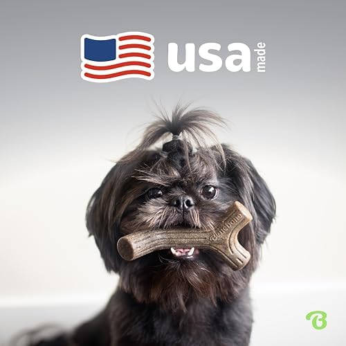 Benebone Small 4-Count Dog Toys - Image 6