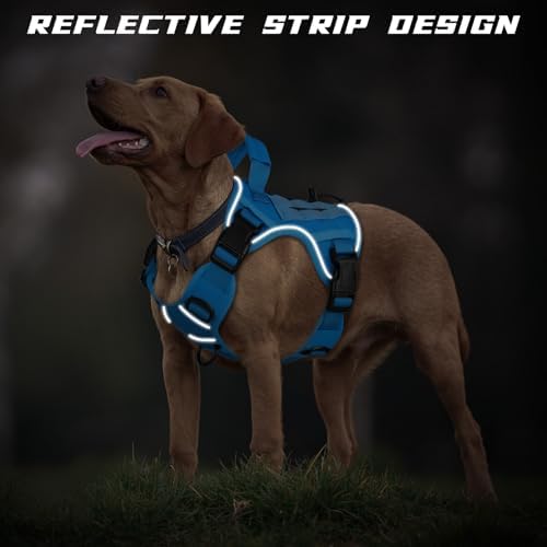 WINGOIN Blue Tactical Dog Harness - Image 4