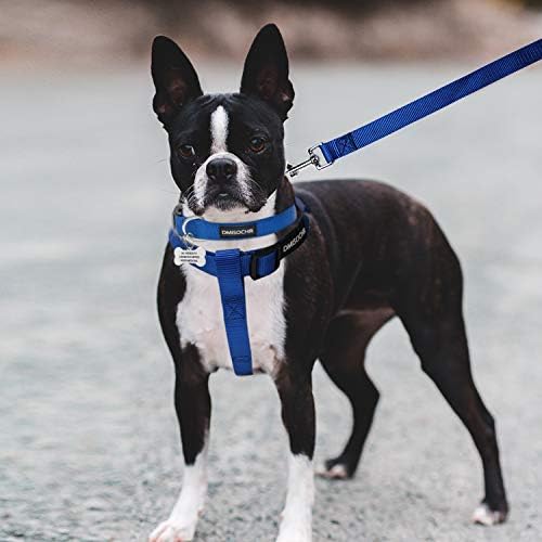 No Pull Dog Harness, Leash & Collar Set, Adjustable Step-in Vest - Image 5