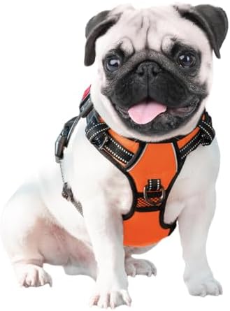 PHOEPET No Pull Dog Harnesses for Small Dogs Reflective Adjustable - Image 4