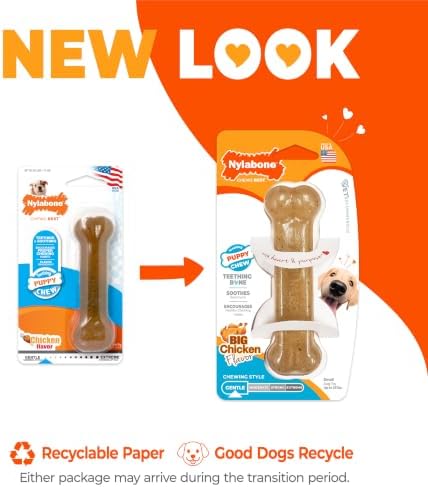 Nylabone Puppy Chew Teething Bone Dog Chew Toy, Chicken Flavor - Image 3