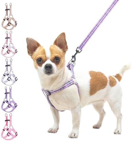 BEAUTYZOO No Pull Dog Harness and Leash Set by BEAUTYZOO