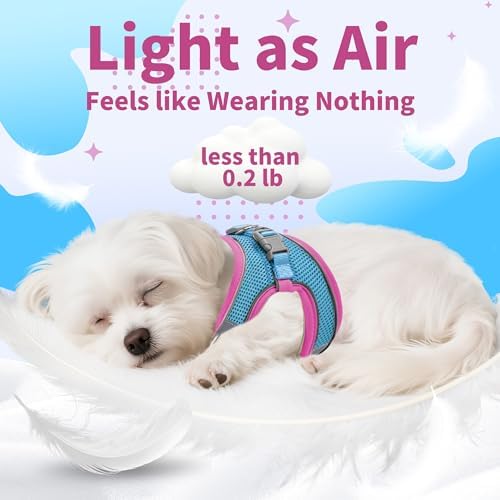 AIITLE Dog Harness and Leash Set, Step-in Puppy Pet Vest, Hot Pink XS - Image 4