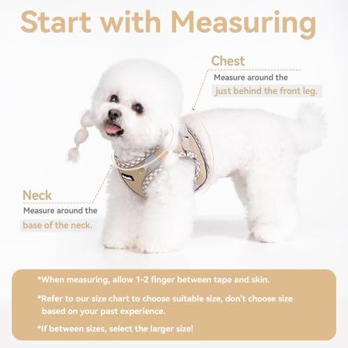 Petank Step in Dog Harness No Pull and Leash - Image 4