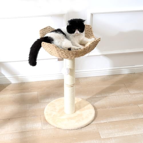SHENGOCASE Small Cat Tree Tower - Image 5