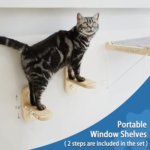 PETKARAY Cat Window Perch, Foldable Cat Hammock - Image 4
