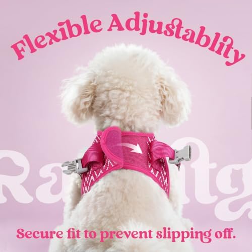 rabbitgoo Dog Harness Small Sized and Leash Set, Step in Soft Vest - Image 6