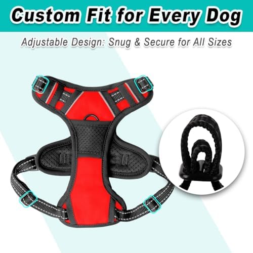 BARKBAY Dog Harness for Small Sized Dog No Pull 2 Leash Clips Dog Vest - Image 6
