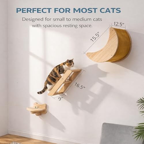 Cat Wall Shelves Set, Solid Wood Moon Bed, Perch & Stair - Image 5