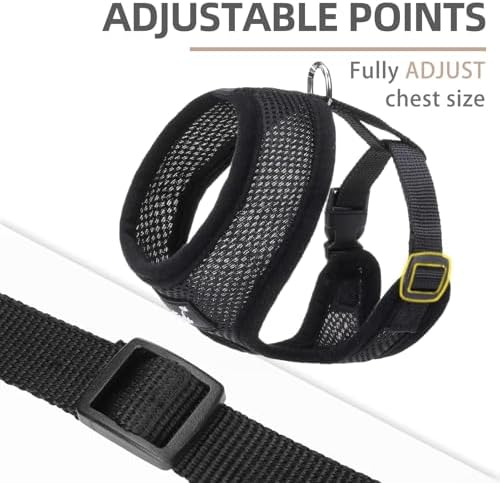 PUPTECK Small Dog Harness and Leash Set No Pull - Image 3
