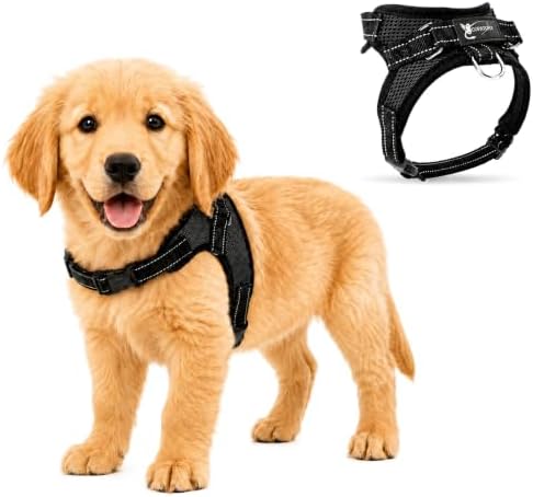 No Pull Reflective Adjustable Dog Harness by Copatchy