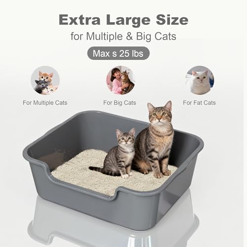 Extra Large Low Entry ABS Cat Litter Box, 1 Pack - Image 3
