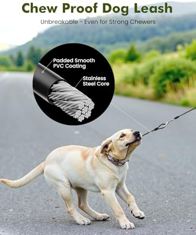 Pecute 16.4ft Retractable Dog Leash - Image 3