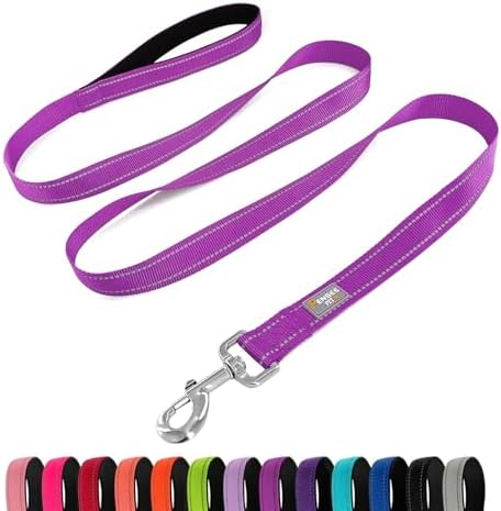6 FT Basic Dog Leash for Large Dogs, Padded Handle by Penseepet