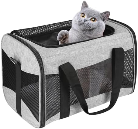 Cat Carrying Case by home